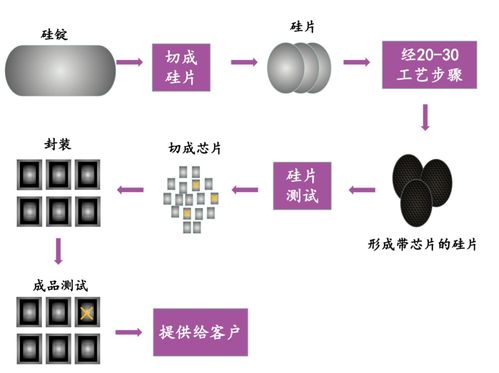 芯片 汽車 新能源 生物醫(yī)藥,那些上海關(guān)鍵產(chǎn)業(yè)還好嗎